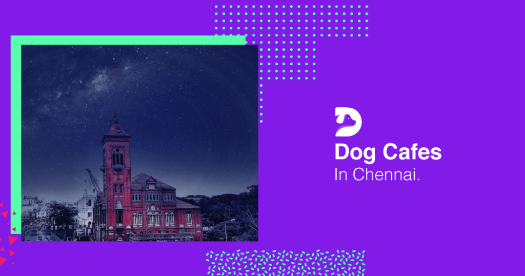 Dog cafes in Chennai