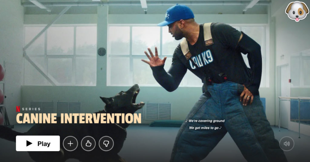 Canine Intervention Netflix