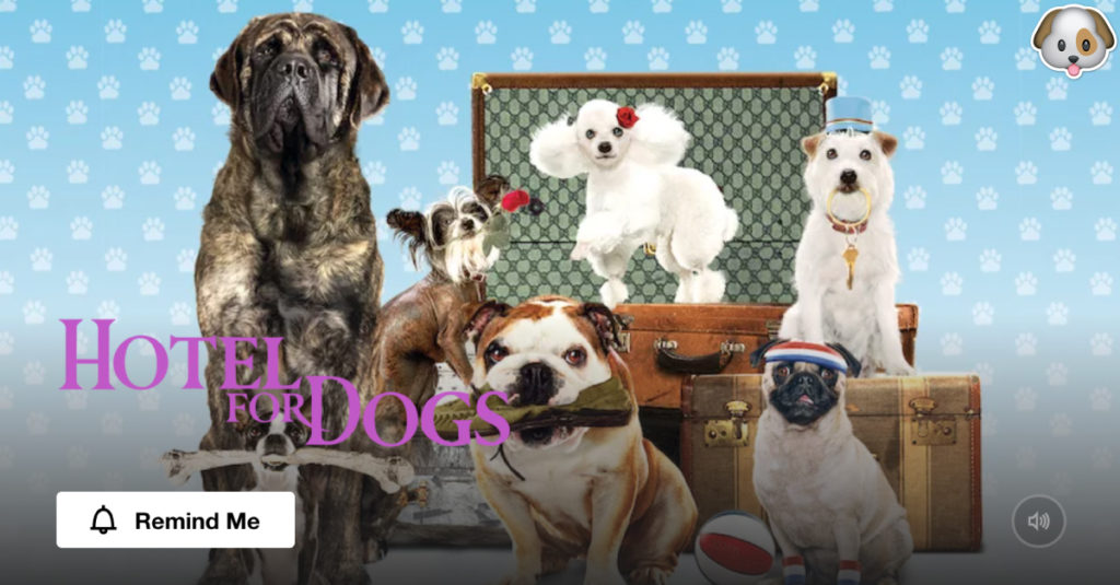 Hotel For Dogs Neflix