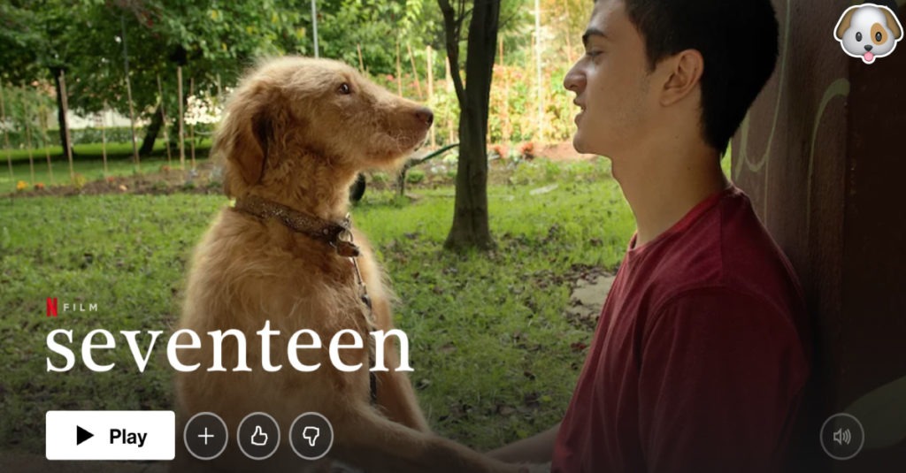 Seventeen Netflix