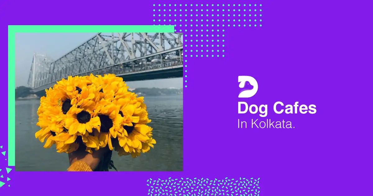 dog cafes in kolkata