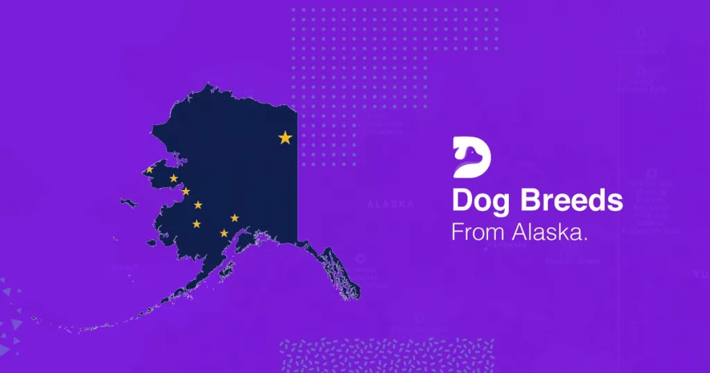 Alaskan Dog Breeds