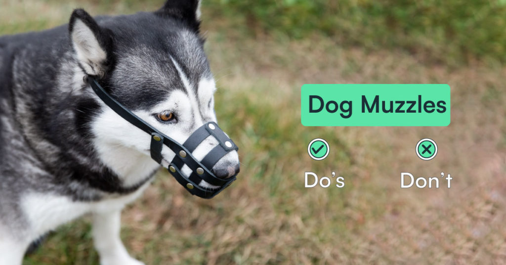 Dog Muzzles