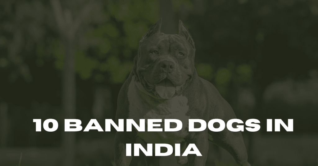 Banned Dogs In India