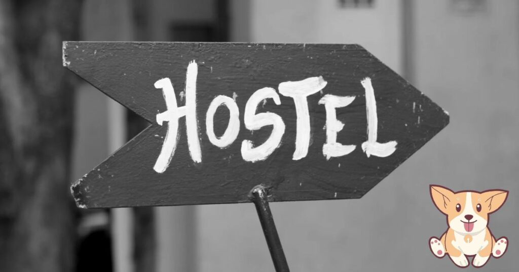 Dog Hostel Near Me