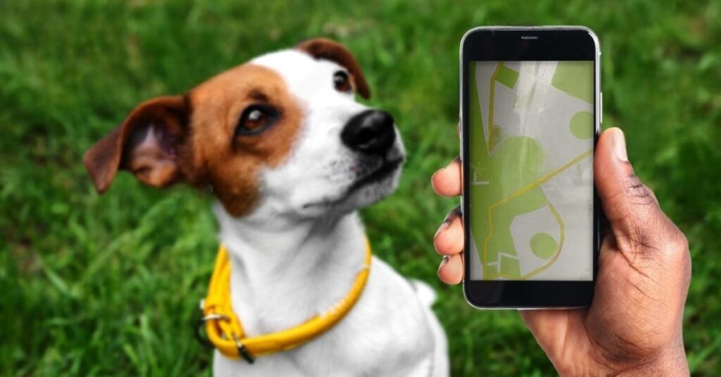Wifi Pet Tracker