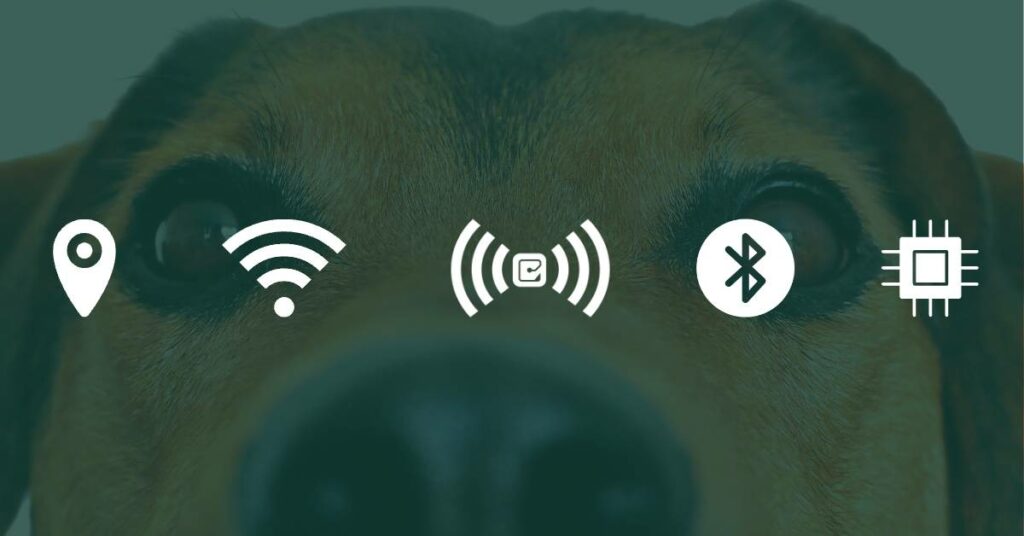 pet trackers comparison